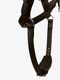 Load image into Gallery viewer, HVE Bridle King Edward / Brown ( NEW )
