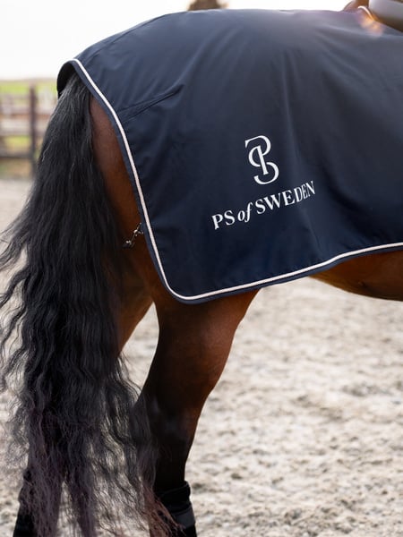 Versatile Exercise Rug / Navy - NEW -