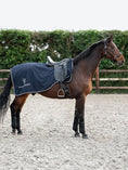 Load image into Gallery viewer, Versatile Exercise Rug / Navy - NEW -
