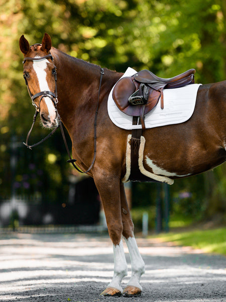 Stripe Jump Saddle Pad / White