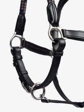 Load image into Gallery viewer, Palermo Leather Halter / Black Leather
