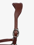 Load image into Gallery viewer, Palermo Leather Halter / Brown Leather
