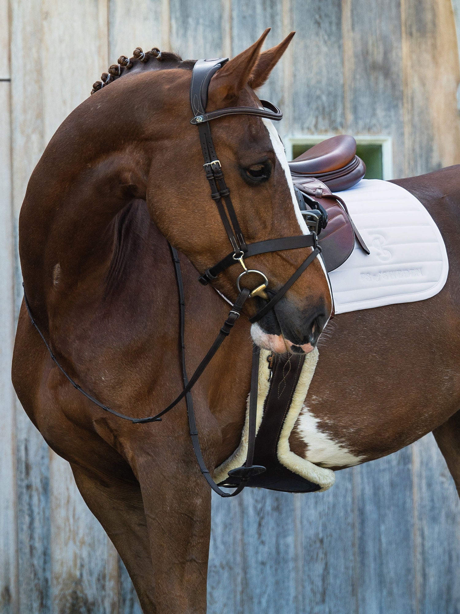 Stripe Jump Saddle Pad / White