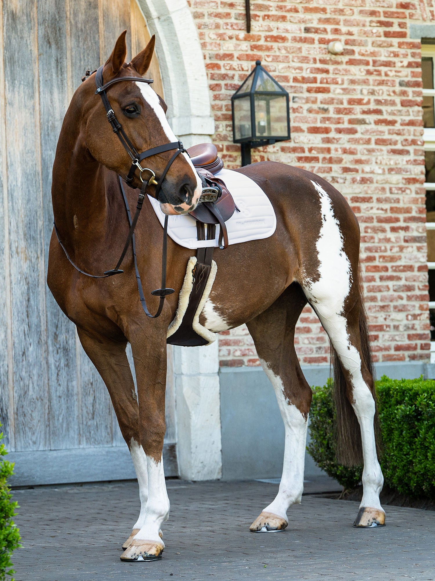 Stripe Jump Saddle Pad / White