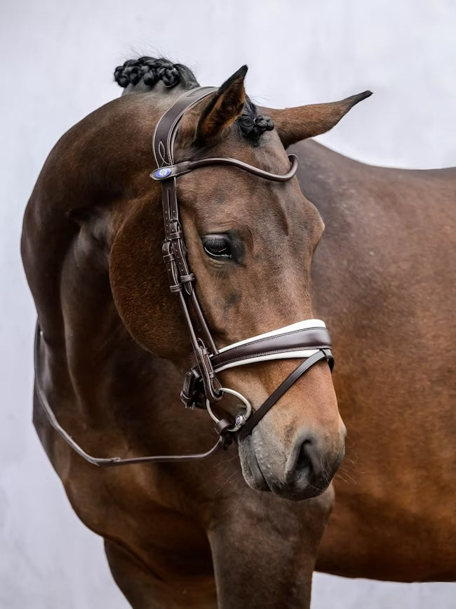 Noseband GP / White Padding