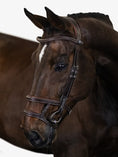 Load image into Gallery viewer, Limited Edition Bridle, Paris  / Brown
