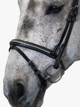 Load image into Gallery viewer, Amsterdam Bridle / Black
