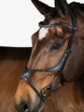 Load image into Gallery viewer, Athens Bridle / Black Leather
