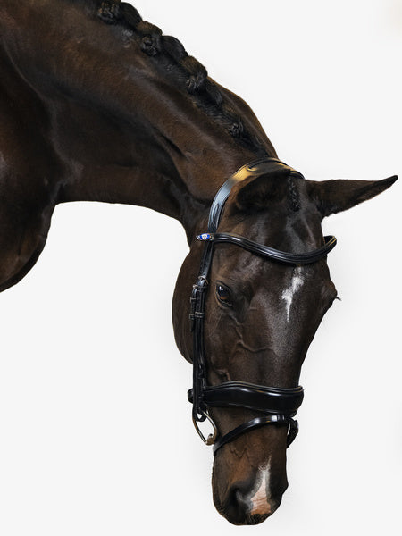 Bridle Flying Change / Black