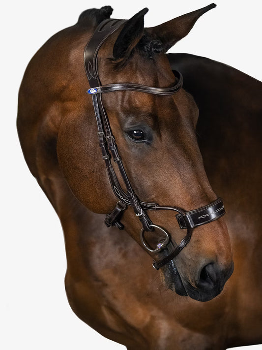 Bridle High Jump / No Browband