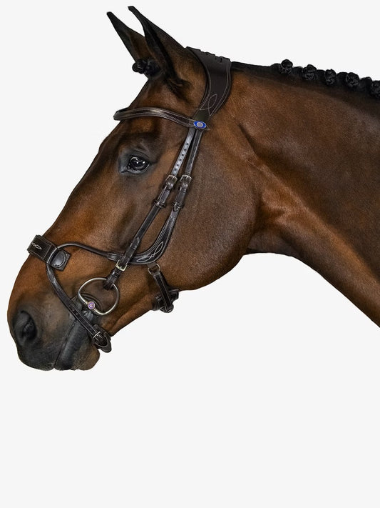 Bridle High Jump / No Browband