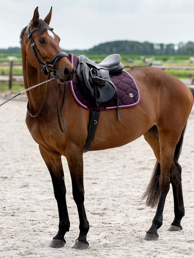 Saddle Pad, Jump Signature / NEW