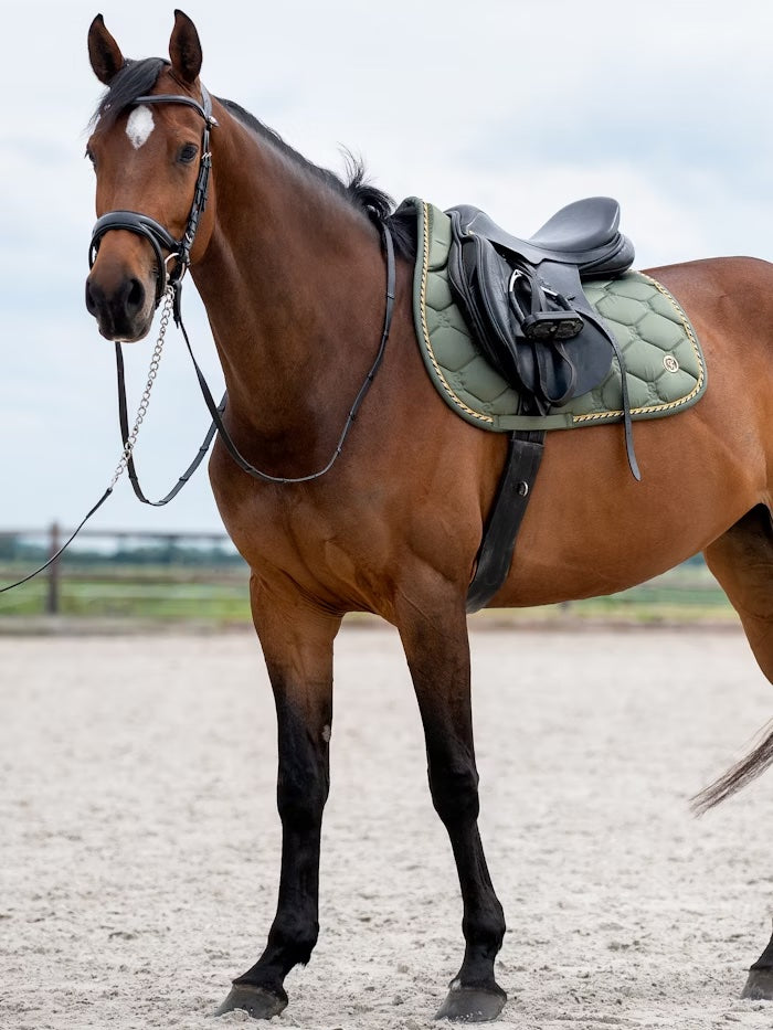 Saddle Pad, Jump Signature / NEW