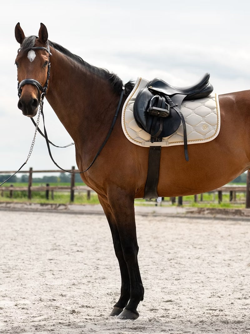 Saddle Pad, Jump Signature / NEW