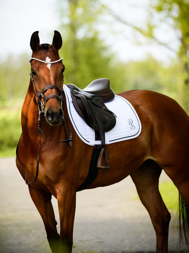 Saddle Pad Jump Elite / White