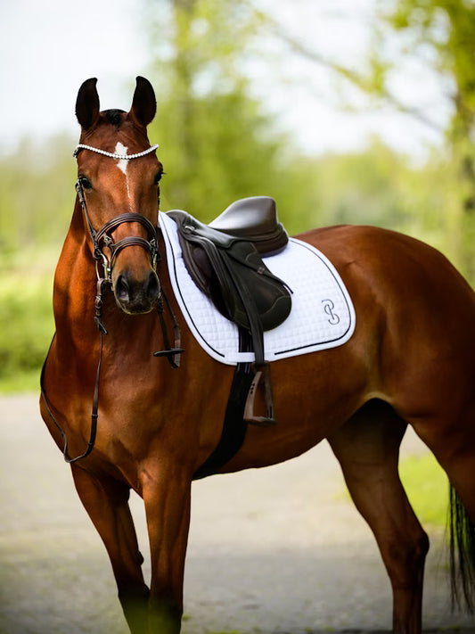 Saddle Pad Jump Elite / White