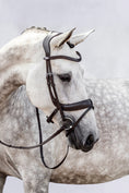 Load image into Gallery viewer, Paladin Bridle / Black
