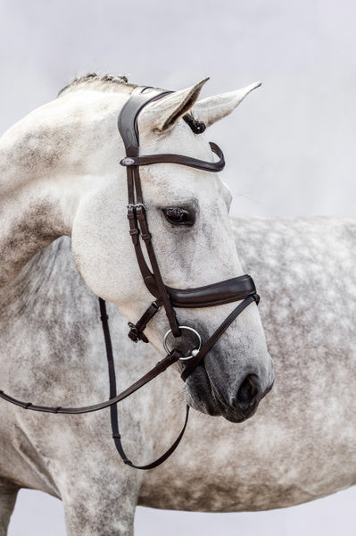 Paladin Bridle / Black