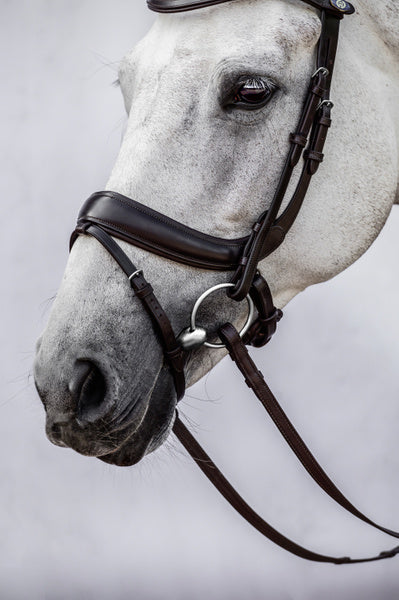 Paladin Bridle / Black