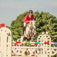 Load image into Gallery viewer, Boyd Martin / Stadium Hind Jump Boot with ARTi-LAGE Technology

