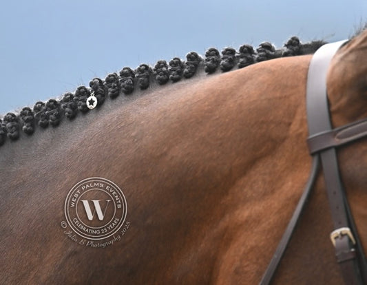 Charms / Horse Mane - tail