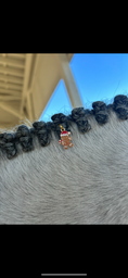 Load image into Gallery viewer, Charms / Horse Mane - tail

