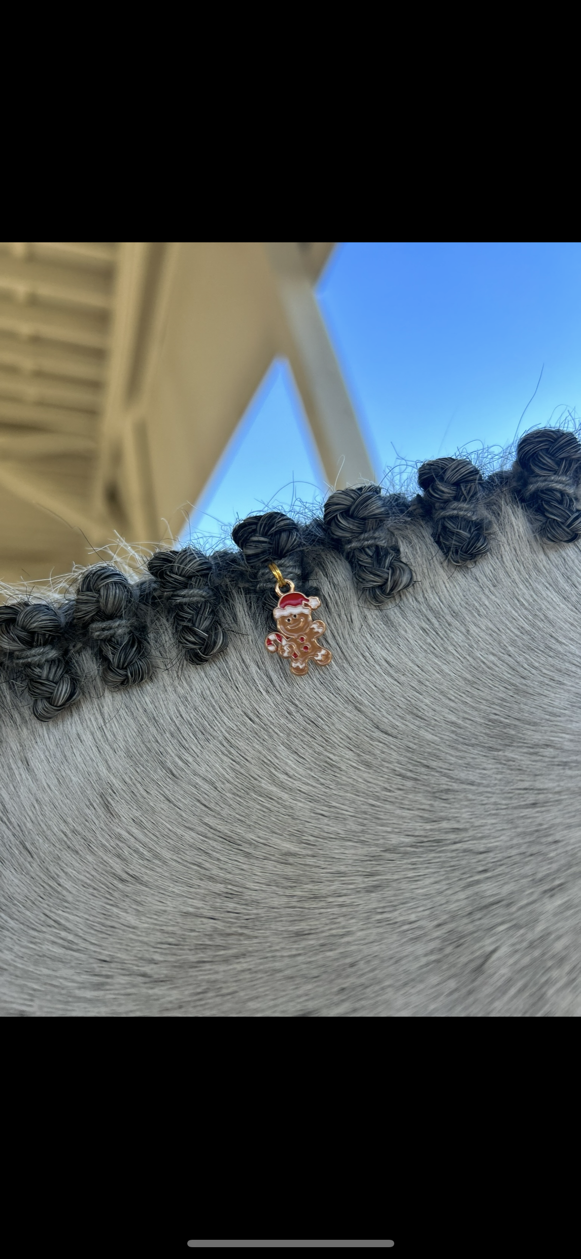Charms / Horse Mane - tail