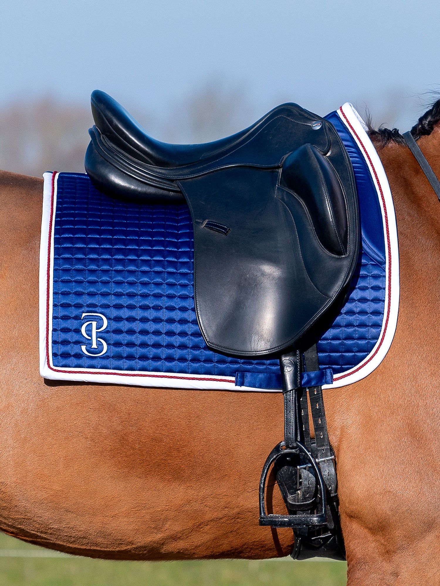 Saddle Pad Dressage National Team / USA