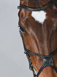 Load and play video in Gallery viewer, Athens Bridle / Black Leather
