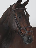 Load and play video in Gallery viewer, Limited Edition Bridle, Paris  / Brown
