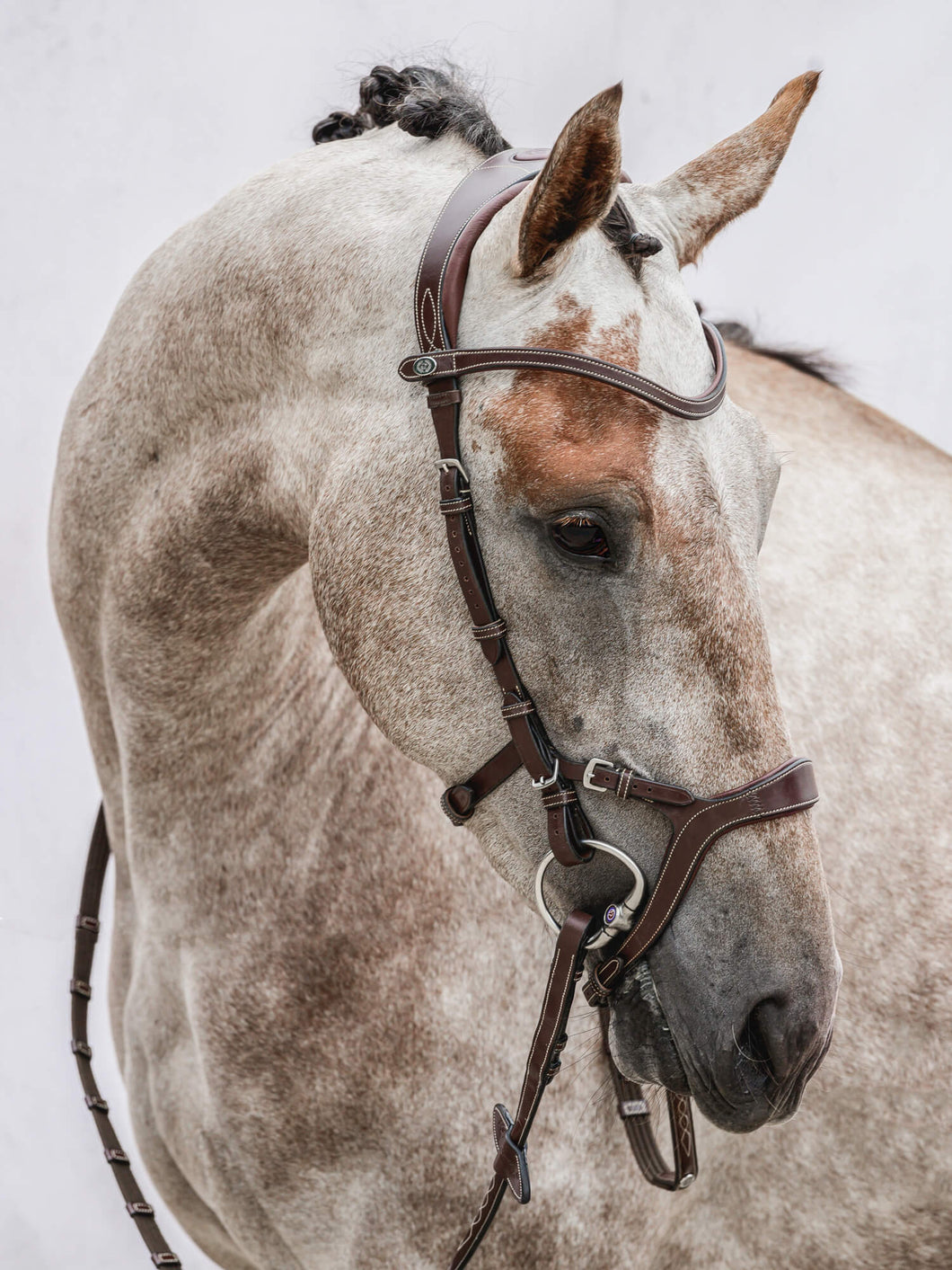 The adjustable noseband gives the rider an opportunity to choose how much pressure to apply on the nose. It helps the horse to accept the bit and is a perfect bridle for both the young horse who's still learning to communicate with the rider as well as for the type of horse who tries to avoid contact with the rider's hand and rather folds in the neck too much.