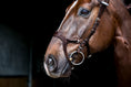 Load image into Gallery viewer, The adjustable noseband gives the rider an opportunity to choose how much pressure to apply on the nose. It helps the horse to accept the bit and is a perfect bridle for both the young horse who's still learning to communicate with the rider as well as for the type of horse who tries to avoid contact with the rider's hand and rather folds in the neck too much.
