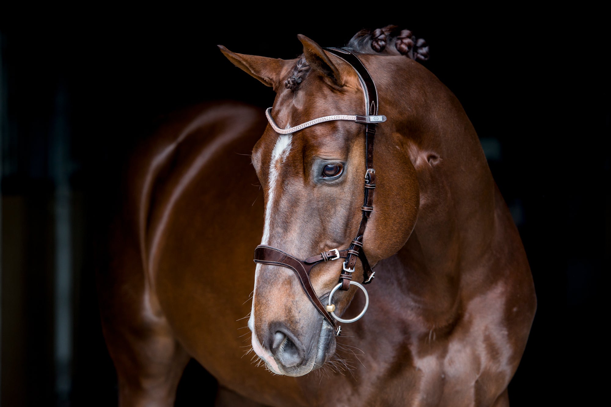 The adjustable noseband gives the rider an opportunity to choose how much pressure to apply on the nose. It helps the horse to accept the bit and is a perfect bridle for both the young horse who's still learning to communicate with the rider as well as for the type of horse who tries to avoid contact with the rider's hand and rather folds in the neck too much.