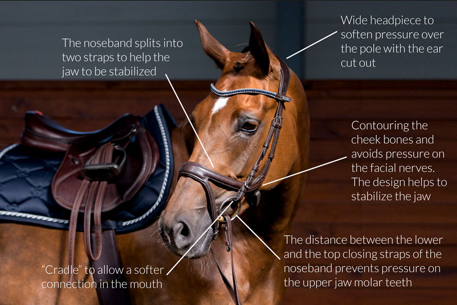 The design of the noseband allows full freedom for the cheekbones and the sensitive nerve endings. Its upper part is fastened by regular pullback fastening. 