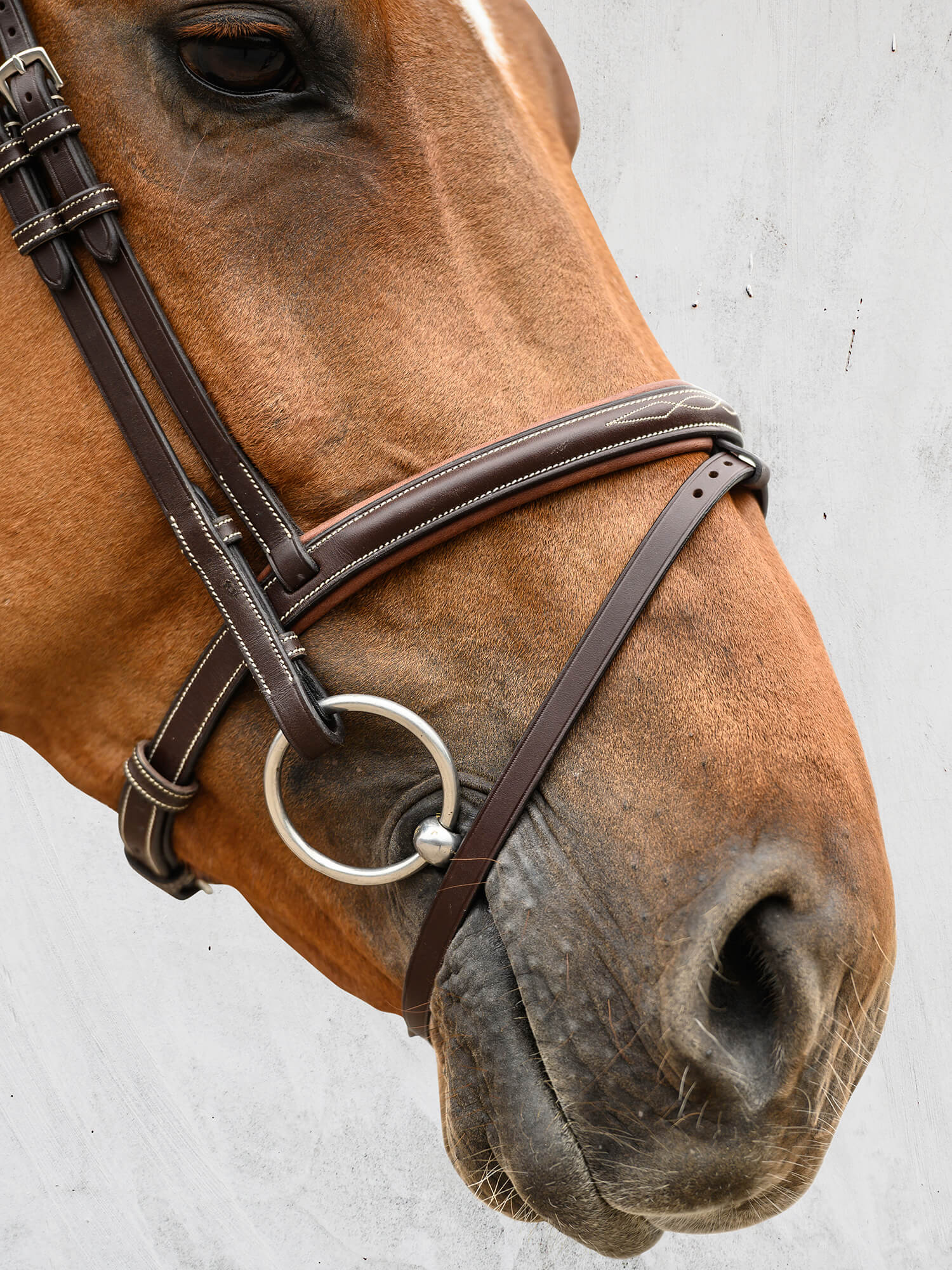 A stylish snaffle bridle with a classical look and removable flash strap (Not Magic Flash™). The noseband has a white décor stitching and a super soft pillow built-in that reduces pressure and enables a closer, optimized fit around the nose. 
