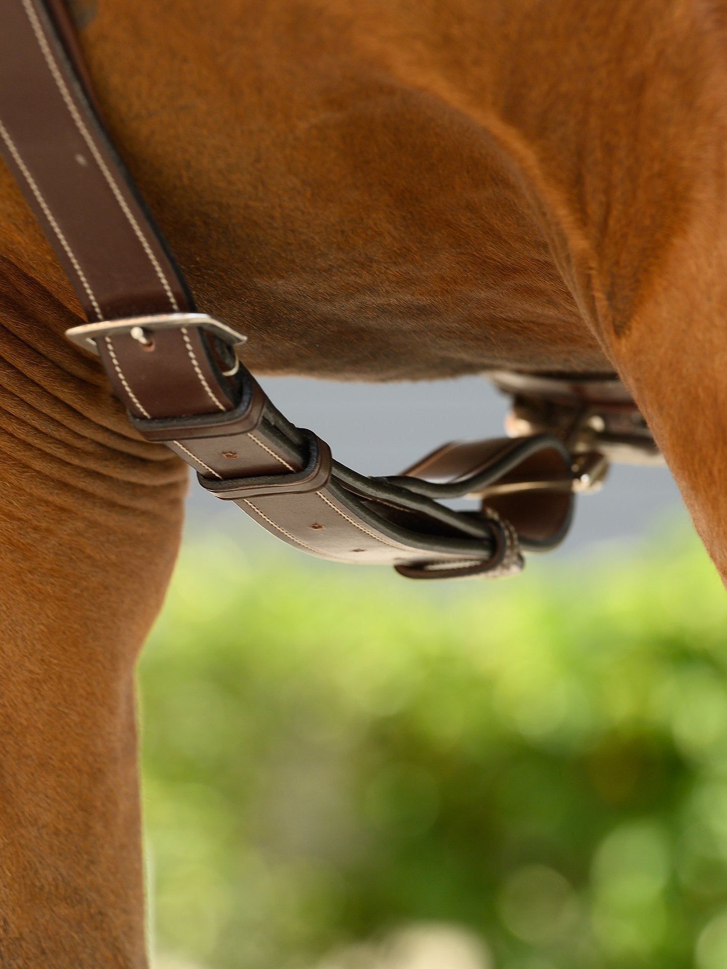 A luxurious and well-worked breastplate, extra wide and padded for additional comfort. It has an anatomically shaped curve to smoothly round the horse's shoulder without limiting the movability.