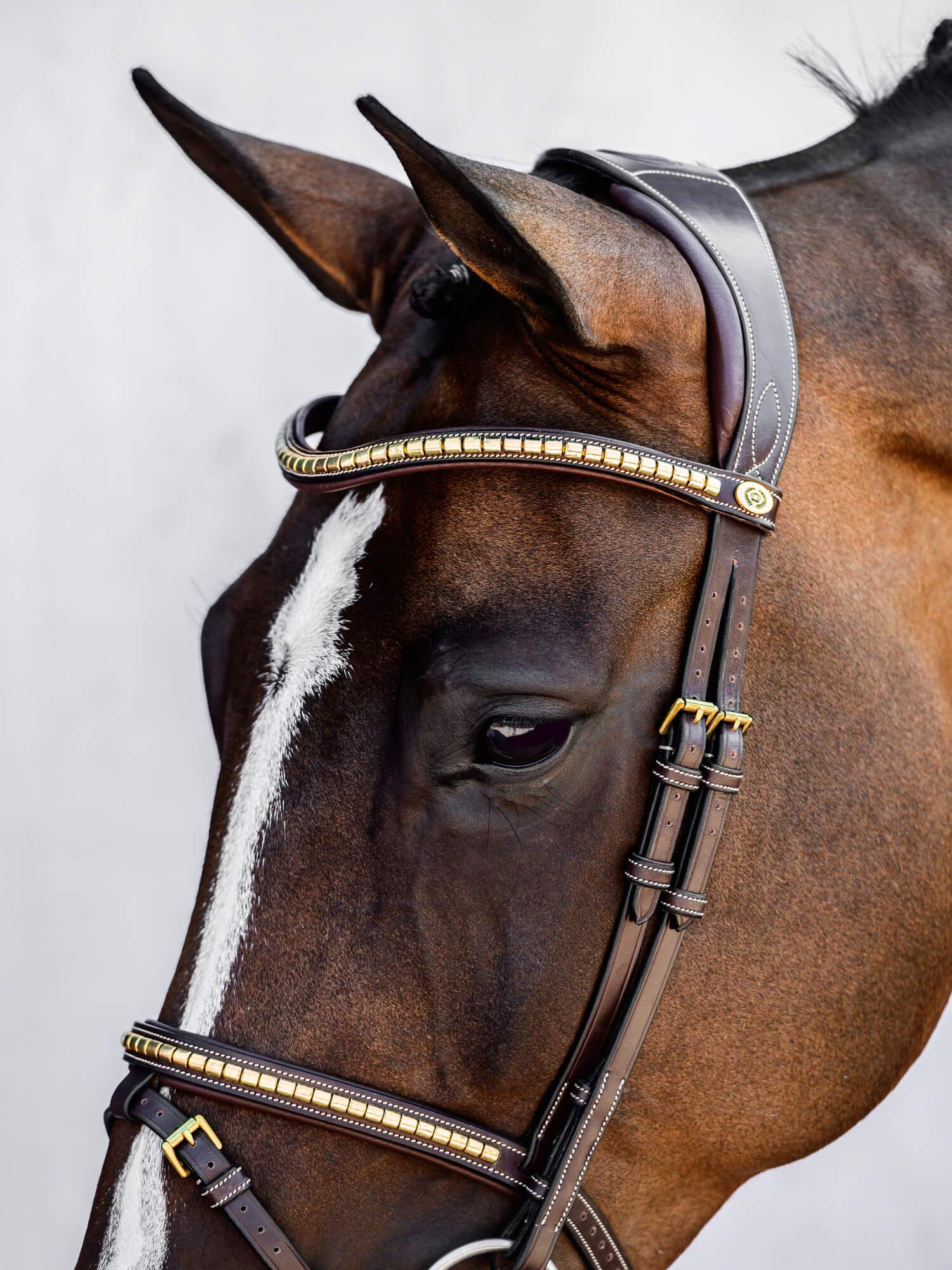 A beautiful snaffle bridle with a removable flash strap and a classical look. It is beautifully decorated with gold-colored clinchers both on the noseband and on the browband.