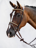 Load image into Gallery viewer, A beautiful snaffle bridle with a removable flash strap and a classical look. It is beautifully decorated with gold-colored clinchers both on the noseband and on the browband.
