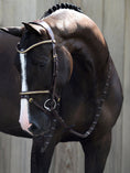 Load image into Gallery viewer, A beautiful snaffle bridle with a removable flash strap and a classical look. It is beautifully decorated with gold-colored clinchers both on the noseband and on the browband.
