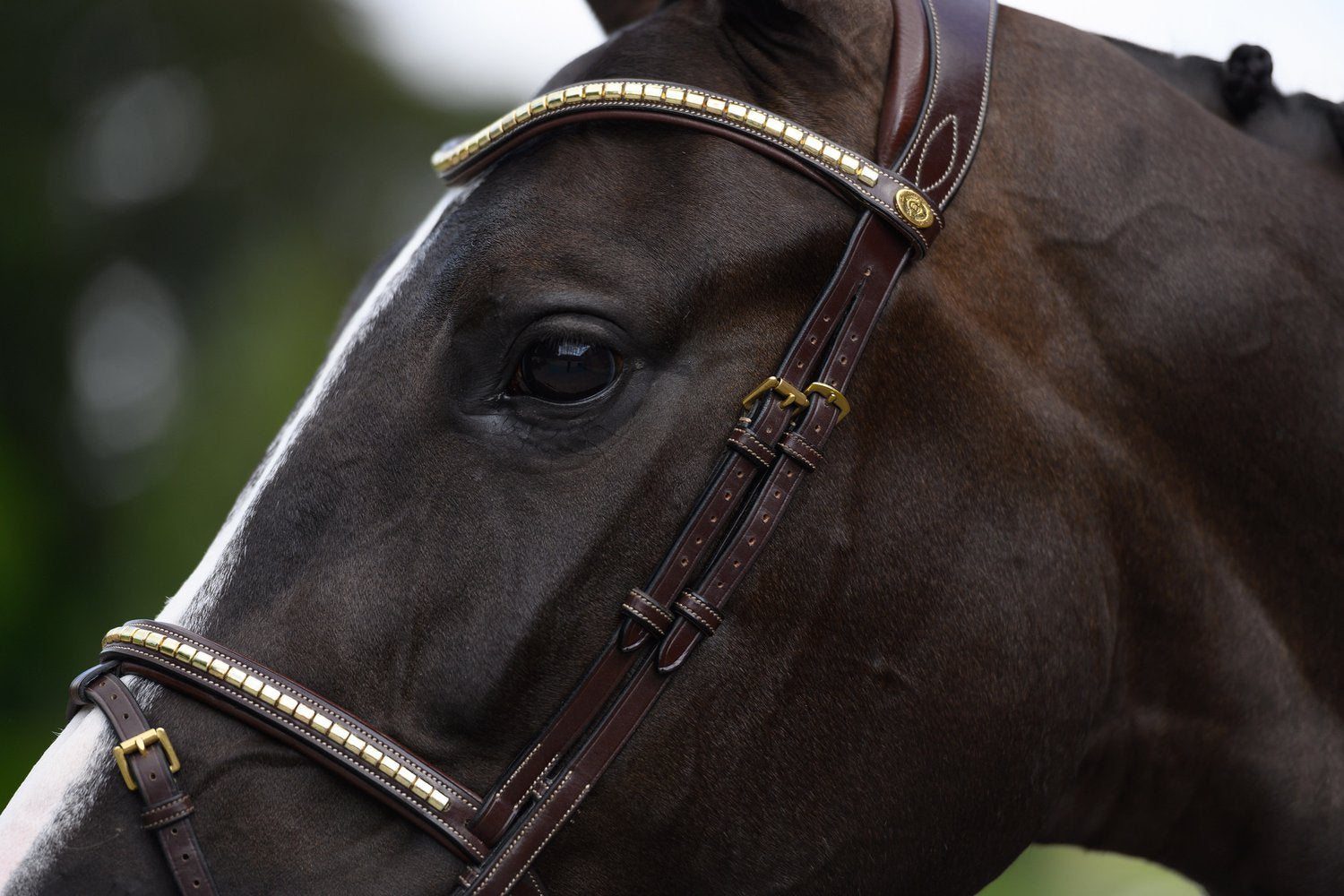 A beautiful snaffle bridle with a removable flash strap and a classical look. It is beautifully decorated with gold-colored clinchers both on the noseband and on the browband.
