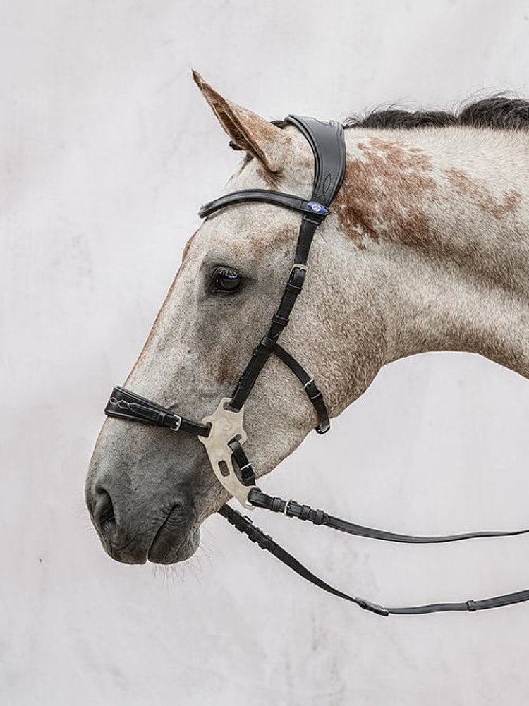 This hackamore has been designed to give your horse the best possibilities for top performance; function and style all in one piece. The hackamore noseplate can easily be replaced with either shiny croco leather, matte croco leather, sheepskin or our Swarovski crystal pieces.