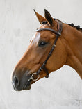 Load image into Gallery viewer, The perfect bridle for vet checks, veterinary visits, horse shows, and other places where a bit is required, and you want something good looking yet practical.
