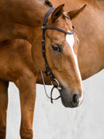 Load image into Gallery viewer, The perfect bridle for vet checks, veterinary visits, horse shows, and other places where a bit is required, and you want something good looking yet practical.
