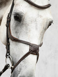 Load image into Gallery viewer, A bridle where you at first glance may think it has a classic figure-eight/mexican noseband, but when giving it a closer look discover small details that put the one of a kind bridle at a completely new level
