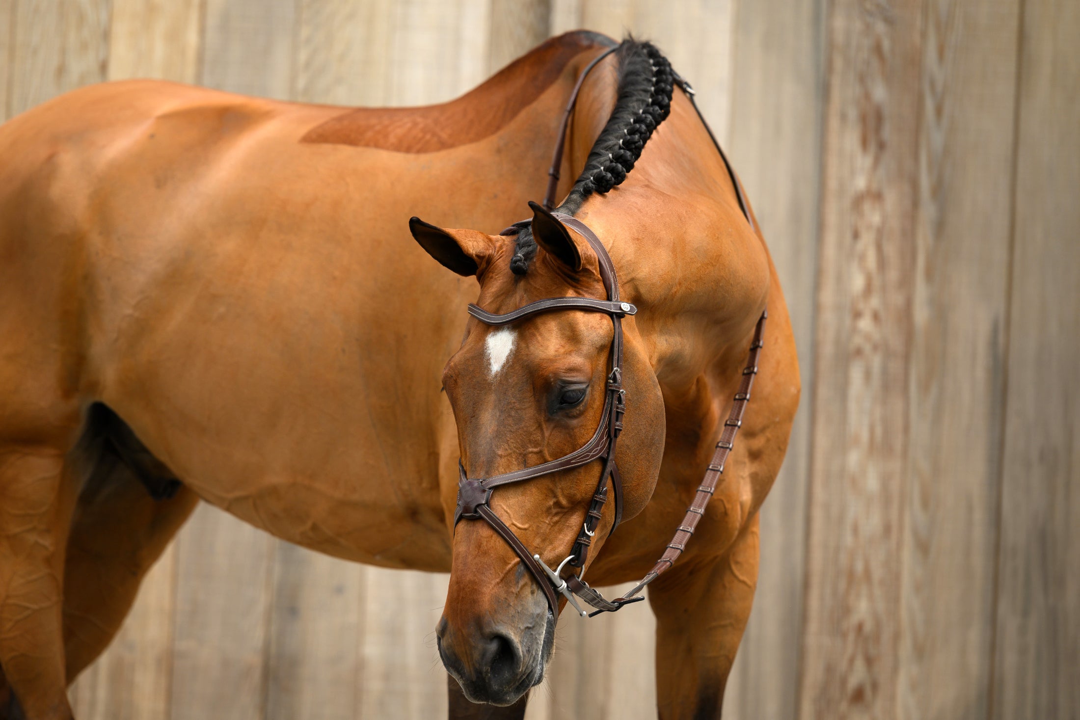 A bridle where you at first glance may think it has a classic figure-eight/mexican noseband, but when giving it a closer look discover small details that put the one of a kind bridle at a completely new level