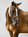 Load image into Gallery viewer, This is a bridle for the experienced rider and the noseband is used instead of having to put a sharper bit in the horse’s mouth. The noseband is made for very strong and forward going horses, it combines the function from an English- and a dropped noseband and surrounds the horse in a nice way, offering plenty of stability.
