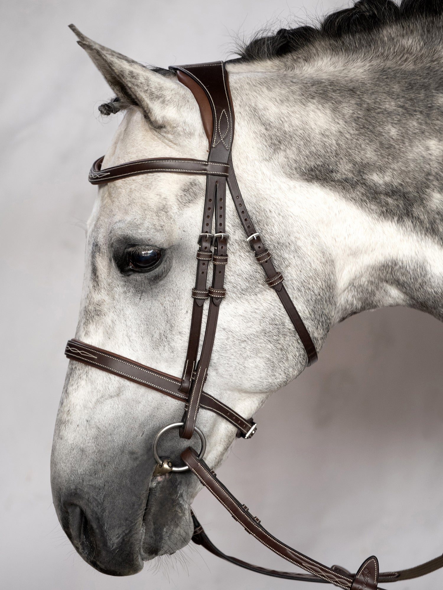 A classic hunter bridle with an English noseband and a solid throatlatch. The browband and noseband are beautifully decorated with a white décor stitching and are softly padded on the inside for increased comfort. The bridle is made in Spanish vegetable-tanned leather.