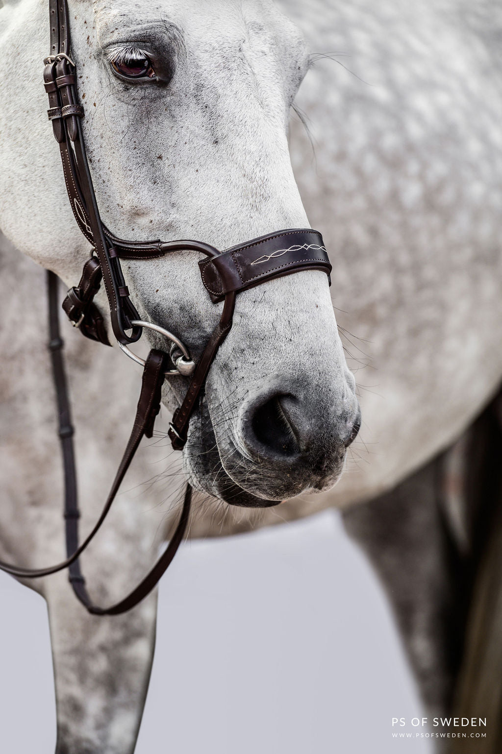 The noseband also features a whole new design. It does not put any pressure on the teeth from the outside which reduces possible bit-related issues. 