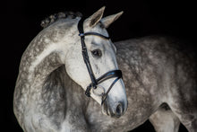 Load image into Gallery viewer, One of the most anatomical dressage bridles on the market. Made out of ECO-friendly English leather

