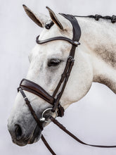 Load image into Gallery viewer, One of the most anatomical dressage bridles on the market. Made out of ECO-friendly English leather

